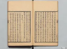心史 冊一 第 25 叶