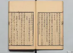 心史 冊一 第 29 叶