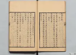 心史 冊一 第 30 叶