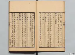 心史 冊一 第 31 叶