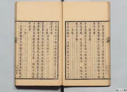 心史 冊一 第 35 叶