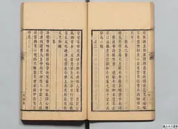 心史 冊一 第 36 叶
