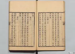 心史 冊一 第 37 叶