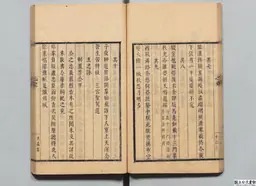 心史 冊一 第 41 叶