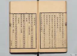 心史 冊一 第 43 叶
