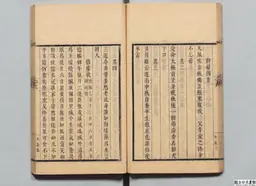 心史 冊一 第 44 叶