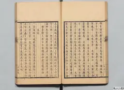 心史 冊一 第 45 叶