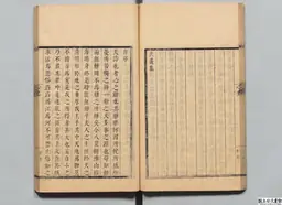 心史 冊一 第 46 叶