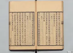 心史 冊一 第 51 叶