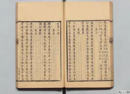 心史 冊一 第 55 叶