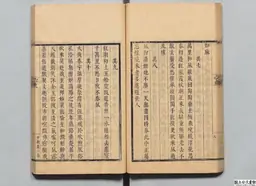 心史 冊一 第 56 叶