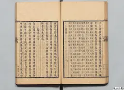 心史 冊一 第 61 叶