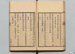 心史 冊一 第 63 叶
