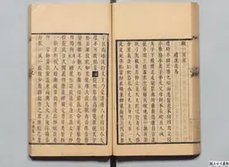 心史 冊一 第 71 叶