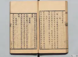 心史 冊一 第 73 叶