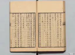 心史 冊一 第 85 叶