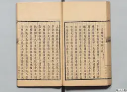 心史 冊一 第 95 叶