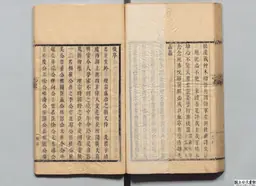 心史 冊一 第 99 叶