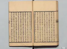 心史 冊一 第 100 叶