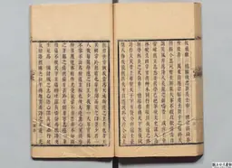 心史 冊一 第 101 叶