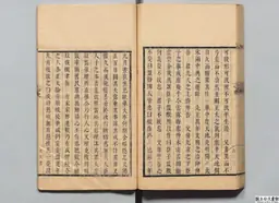 心史 冊一 第 110 叶