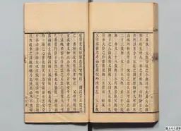 心史 冊一 第 111 叶