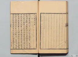 心史 冊一 第 113 叶