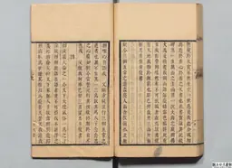 心史 冊一 第 115 叶