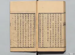 心史 冊一 第 117 叶