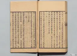 心史 冊一 第 119 叶