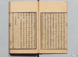 心史 冊二 第 9 叶