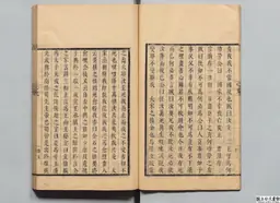 心史 冊二 第 14 叶