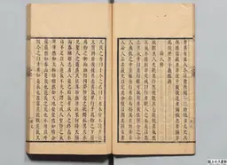 心史 冊二 第 21 叶