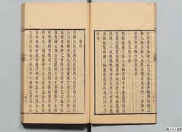 心史 冊二 第 22 叶