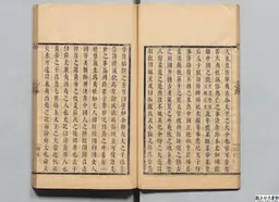 心史 冊二 第 25 叶
