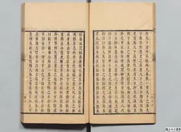 心史 冊二 第 29 叶