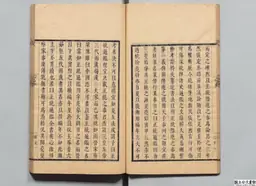 心史 冊二 第 30 叶