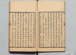 心史 冊二 第 31 叶