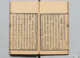 心史 冊二 第 43 叶