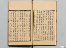 心史 冊二 第 45 叶