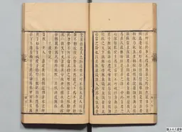心史 冊二 第 48 叶