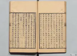 心史 冊二 第 49 叶