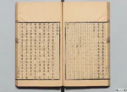 心史 冊二 第 55 叶