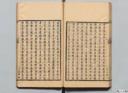 心史 冊二 第 89 叶