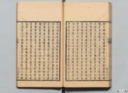 心史 冊二 第 95 叶