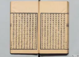 心史 冊二 第 96 叶
