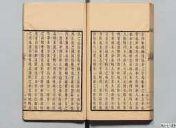 心史 冊二 第 101 叶