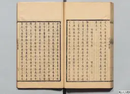 心史 冊二 第 107 叶