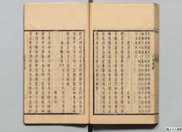 心史 冊二 第 110 叶