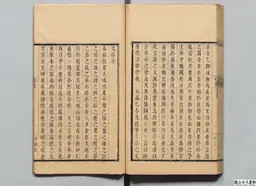 心史 冊二 第 113 叶